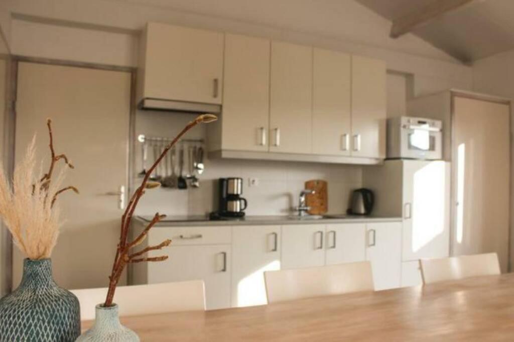 Chalet Met Sauna In Zeeland Sint-Annaland